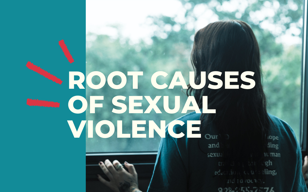 Exploring the Root Causes of Sexual Violence